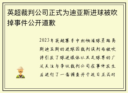 英超裁判公司正式为迪亚斯进球被吹掉事件公开道歉